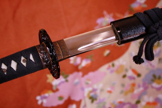 Samurai Performance and Casual Experience: Kyoto Ticket - Venue and Performance Details