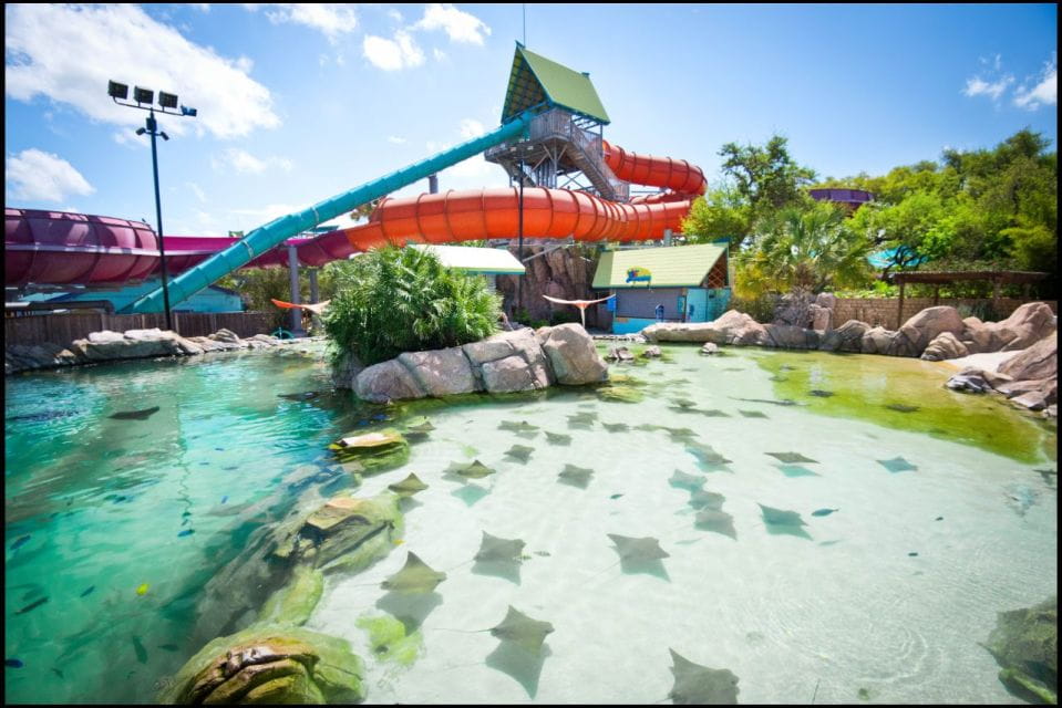 San Antonio: Aquatica Skip-the-Line Park Admission Ticket - Visitor Experiences and Amenities