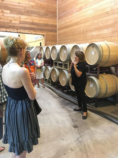 San Antonio: Fredericksburg Wineries Day Trip With Tastings - Wineries and Tastings