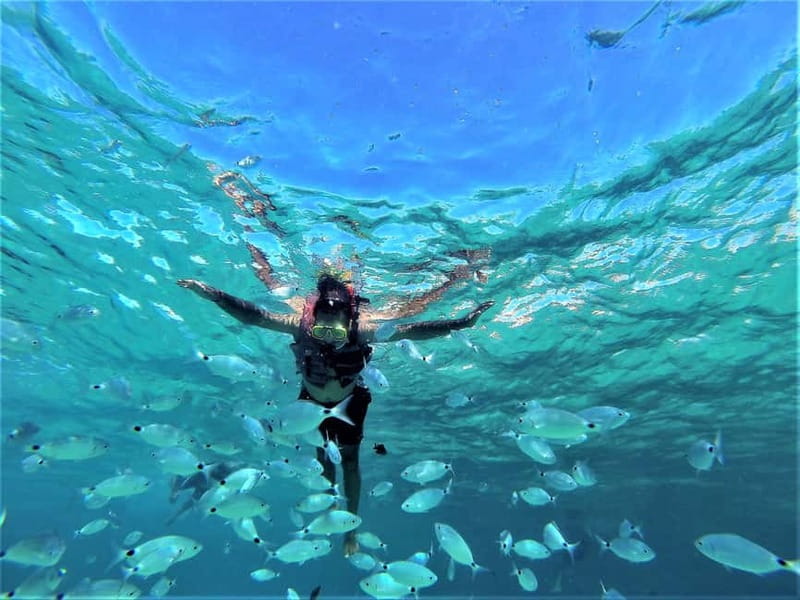 San Antonio: Sunset Beach, Coves, and Cave Snorkeling Cruise - Key points / Takeaways