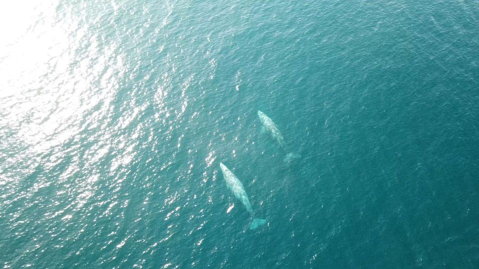 San Diego: Private 2-Hour Sailing Tour for 3-6 People - Activities Included in the Tour