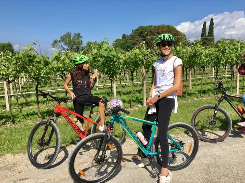 San Felice: E-bike tour and Olive Oil Tasting with food - Key points / Takeaways