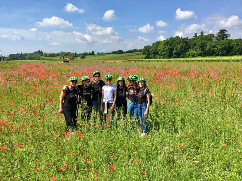 San Felice: E-bike tour and Olive Oil Tasting with food - The Scenic Ride: What You’ll See and Feel