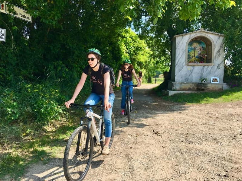 San Felice: E-bike tour and Olive Oil Tasting with food - Pricing and Value Analysis