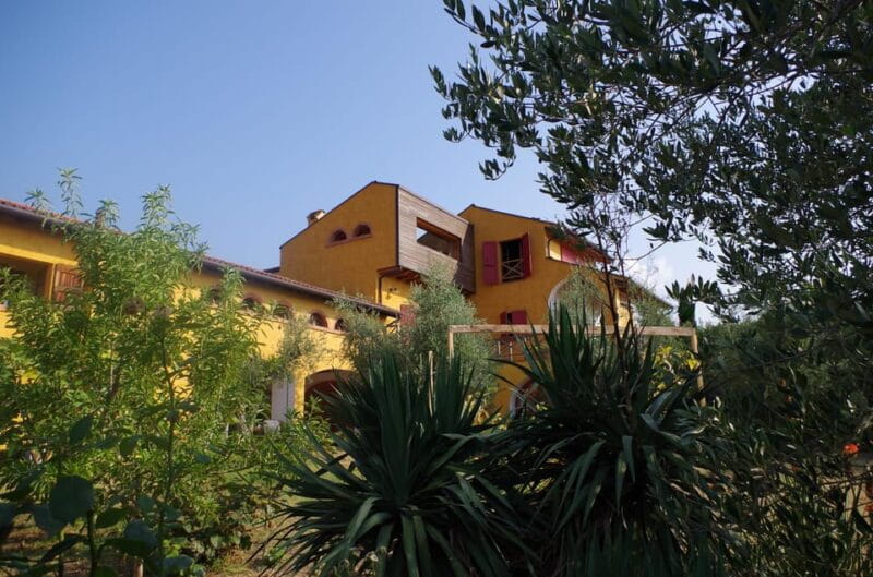 San Felice: Olive Oil Tasting with local food on Garda Hills - Key points / Takeaways