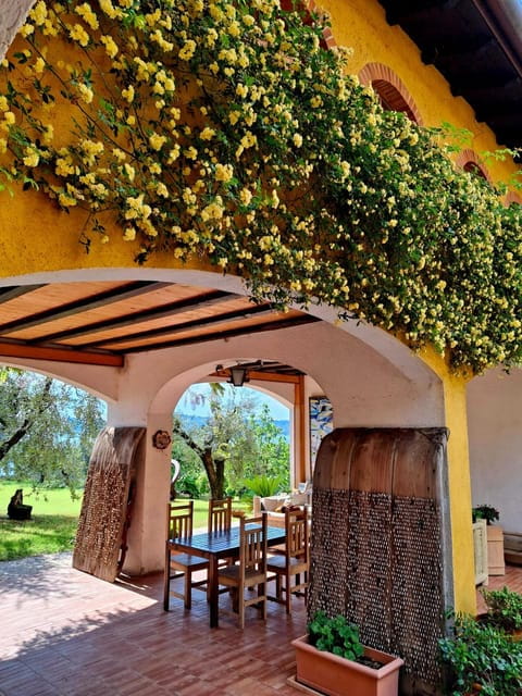 San Felice: Olive Oil Tasting with local food on Garda Hills - FAQ