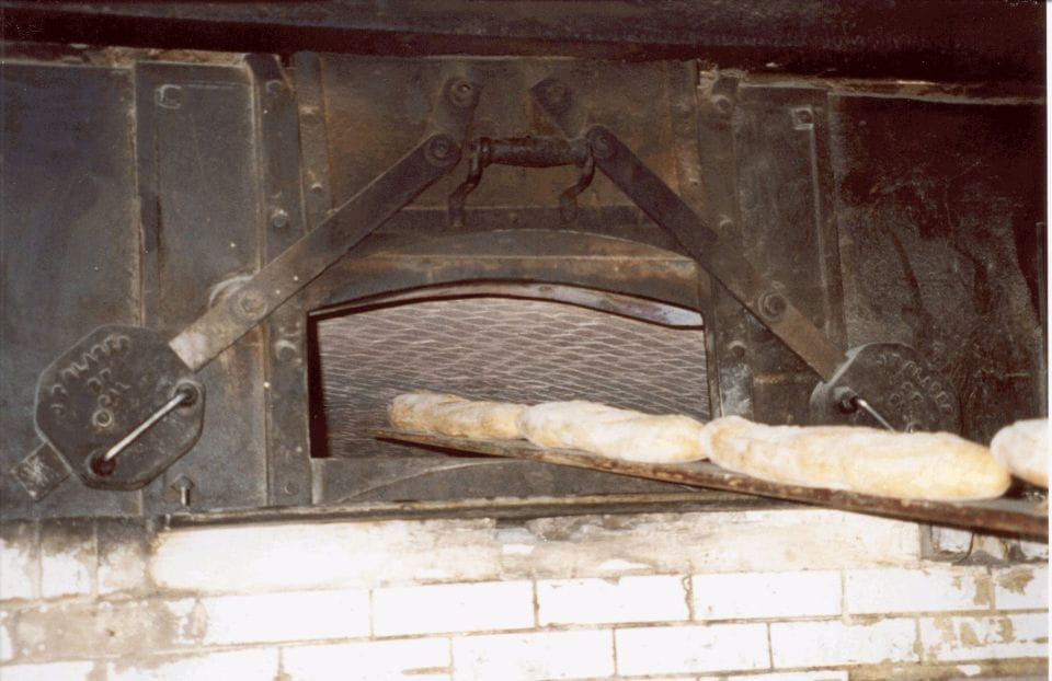 San Francisco: North Beach and Little Italy Food Tour - Customer Feedback