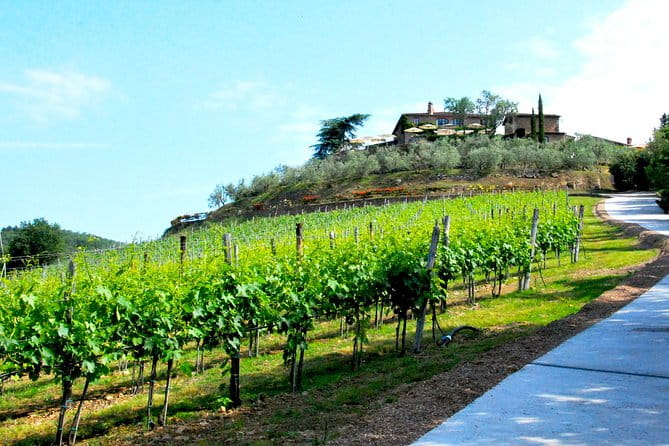 San Gimignano and Chianti Classico Wine and Food PRIVATE TOUR from SIENA - FAQ