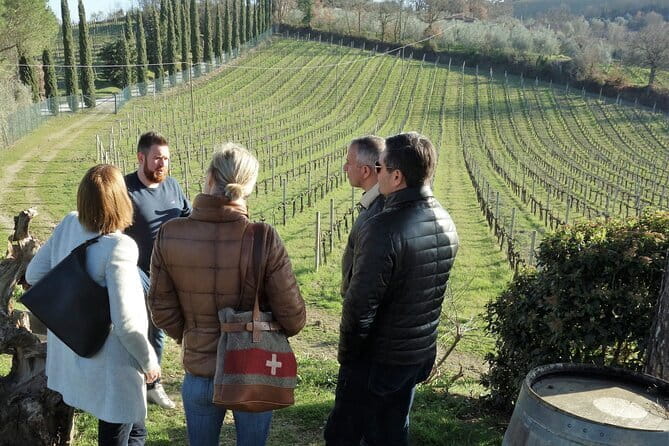 San Gimignano and Vernaccia Wine Tour with Lunch at Farm - Practical Details: Logistics, Duration, and Value