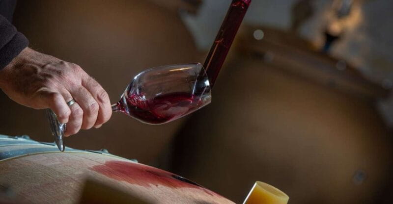 San Gimignano: Barrel Wine Tasting at a Winery - Introducing the Barrel Wine Tasting at Tenuta Torciano