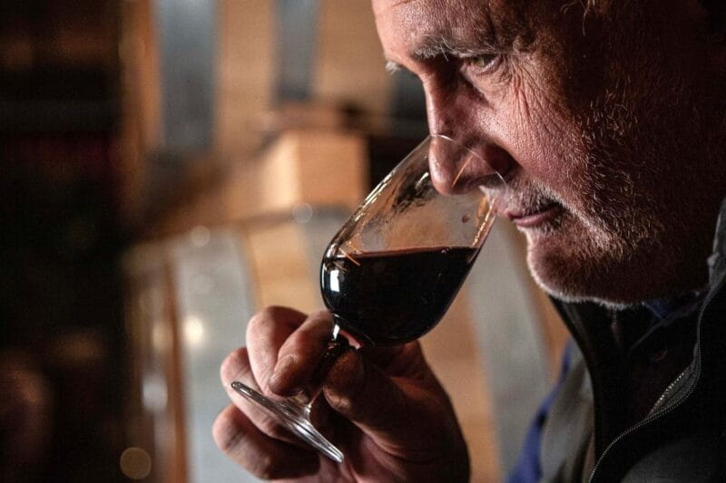 San Gimignano: Barrel Wine Tasting at a Winery - Key Points / Takeaways