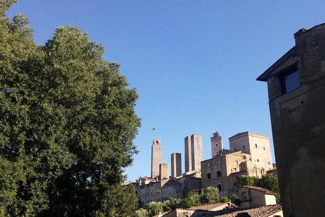San Gimignano: Chianti wine tasting - Practical Tips for Visitors