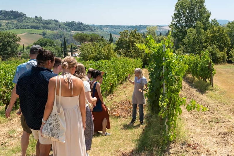 San Gimignano: Mini Wine Tour with Tuscan aperitif - The Tasting & Food Pairings: A Taste of Tuscany