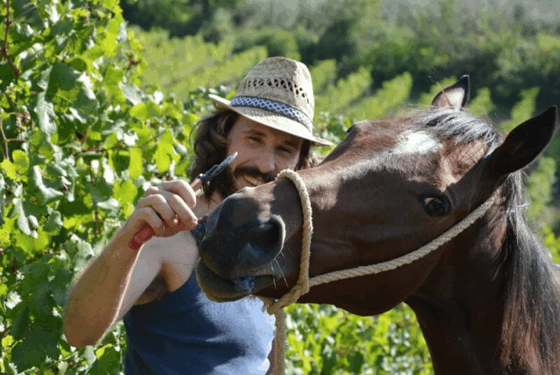 San Gimignano: Pasta Class & Wine Tasting at Local's Home - FAQs