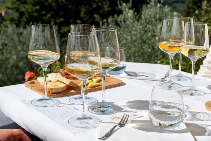 San Gimignano: Professional Wine Tasting Experience - Key points / Takeaways