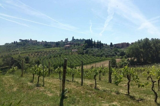 San Gimignano, Saffron and Vernaccia Wine from Florence - Key points / Takeaways