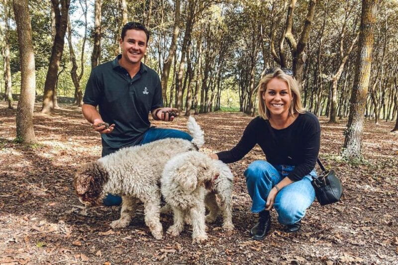 San Gimignano: Truffle Hunting with Lunch & Wine Tasting - Key points / Takeaways