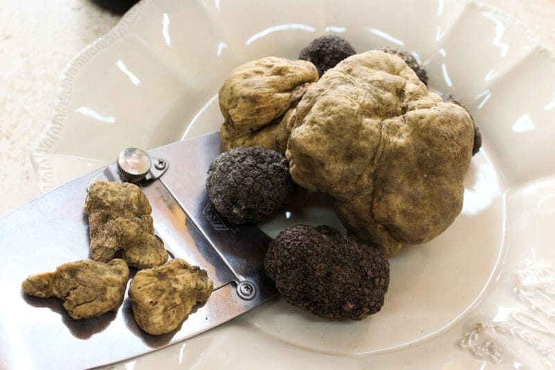 San Gimignano: Truffle Hunting with Lunch & Wine Tasting - FAQ