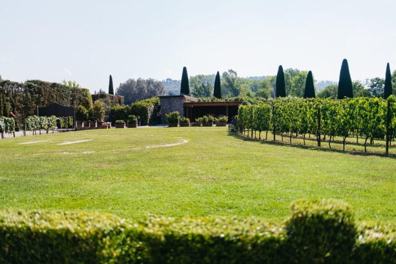 San Gimignano: Tuscan Vineyard Lunch with Wine Tasting - In-Depth Review: Why This Experience Stands Out