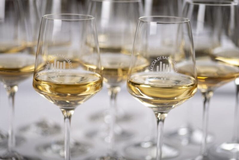 San Gimignano: Vernaccia Wine Tasting Experience - An In-Depth Look at the Vernaccia Tasting Experience