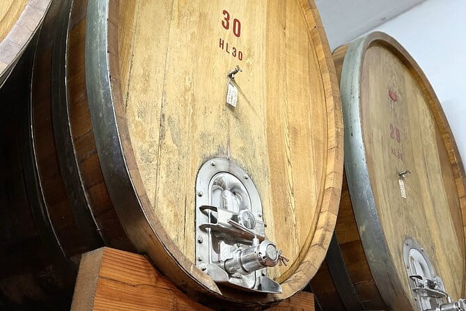 San Gimignano: Vineyard and Cellar Tour with Wine Tasting - Final Thoughts: Who Should Consider This Experience?