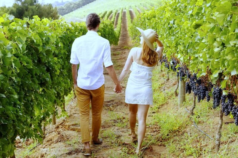 San Gimignano: Vineyard Walk with Wine Tasting in winery - Practicalities: What You Need to Know Before Booking