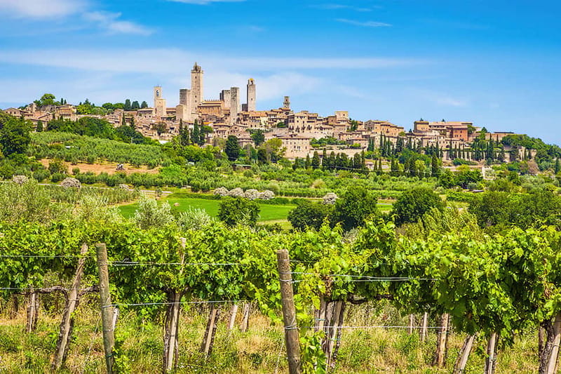 San Gimignano: Wine and Oil Tasting with Tuscan Appetizers - Deep Dive into the Tasting Experience