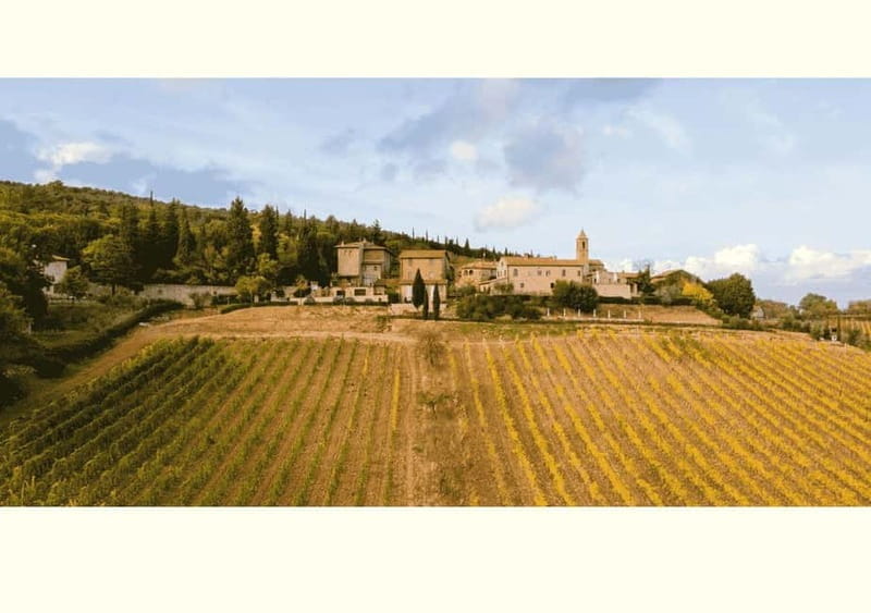 San Gimignano: Wine Tasting Experience at Il Colombaio - Key Points / Takeaways