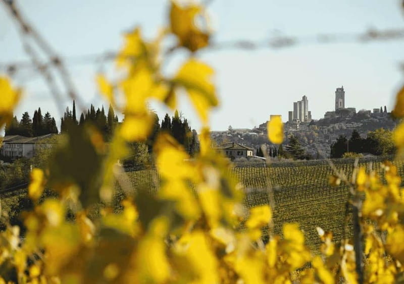 San Gimignano: Wine Tasting Experience at Il Colombaio - Practical Details and Logistics