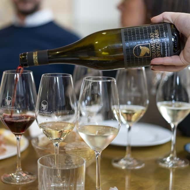 San Gimignano: Wine Tasting Experience at Il Colombaio - Price and Value Analysis