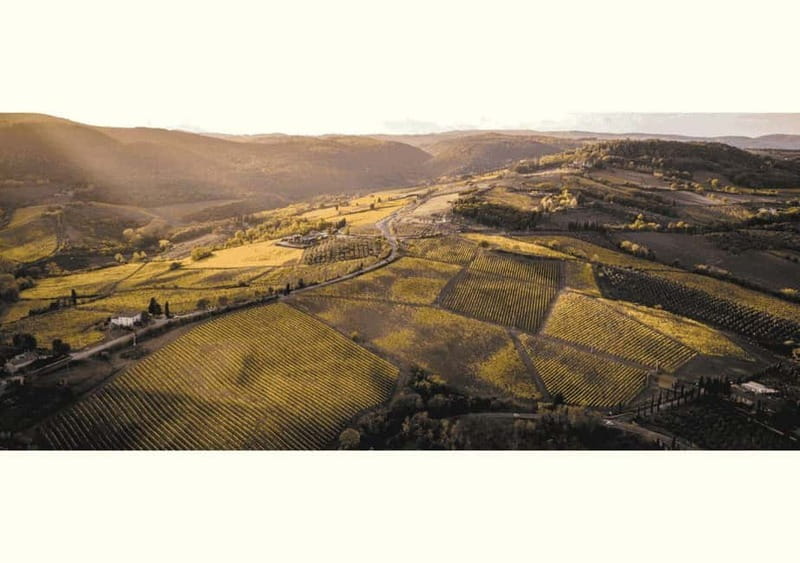 San Gimignano: Wine Tasting Experience at Il Colombaio - FAQs