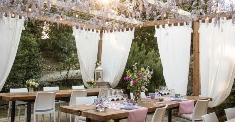 San Gimignano: Wine Tasting in an Organic Family Winery - Key points / Takeaways