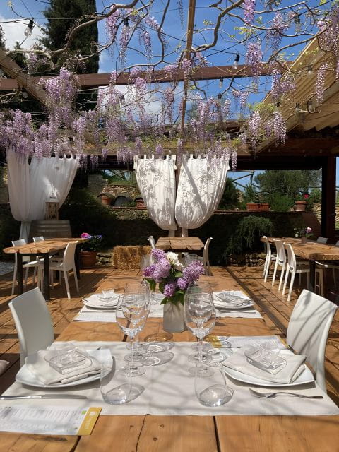 San Gimignano: Wine Tasting with Food Pairing - Exploring Casa Lucii: A Deep Dive