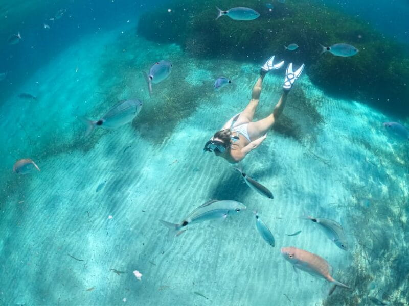 San José: Cabo de Gata Boat Trip - Final Thoughts