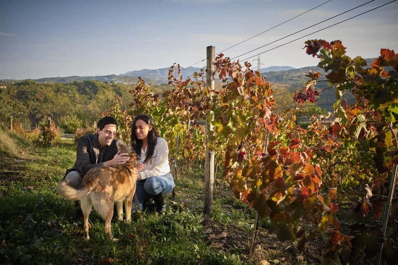 San Mango sul Calore: Wine Tasting Experience - San Mango sul Calore: Wine Tasting Experience