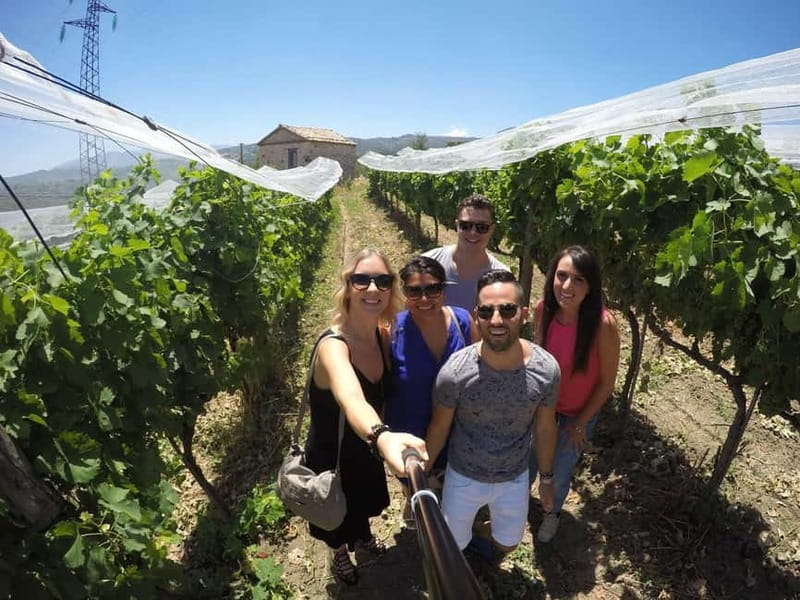 San Mango sul Calore: Wine Tasting Experience - Inside the Winery and Cellars