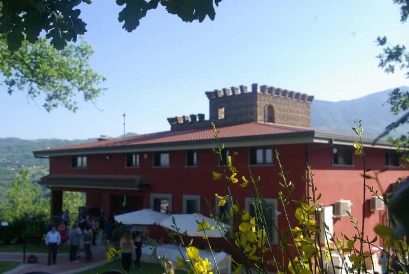 San Mango sul Calore: Wine Tasting Experience - Price and Logistics