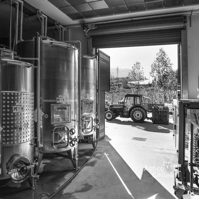 San Mango sul Calore: Wine Tasting Experience - Who Should Book This Tour?