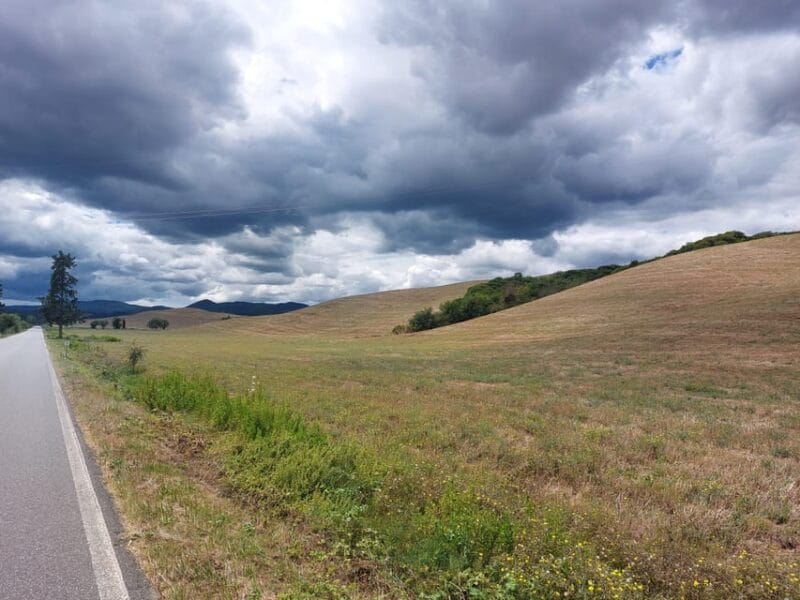 San Miniato and villa Medici entry including final brunch - Final Thoughts