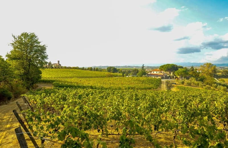 San Miniato: Organic Wine Tasting and Vineyard Tour - Key Points/Takeaways