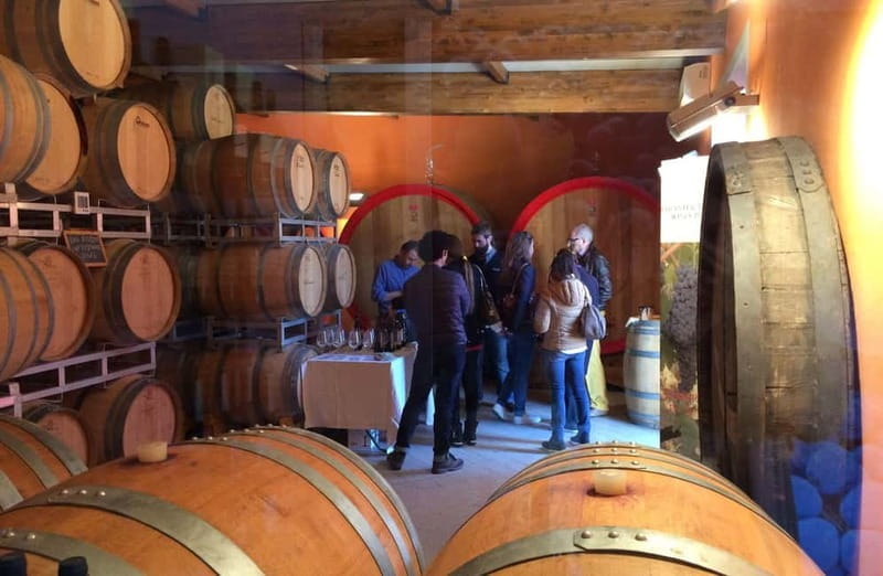 San Miniato: Organic Wine Tasting and Vineyard Tour - Price and Value Perspective