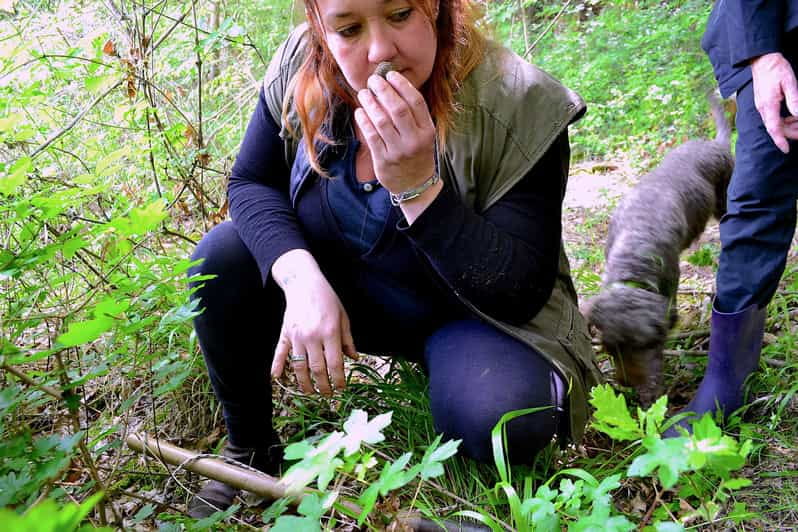 San Miniato: Truffle Hunting, Food, and Gourmet Experience - Discovering Tuscany’s Hidden Treasure: The Truffle Experience in San Miniato