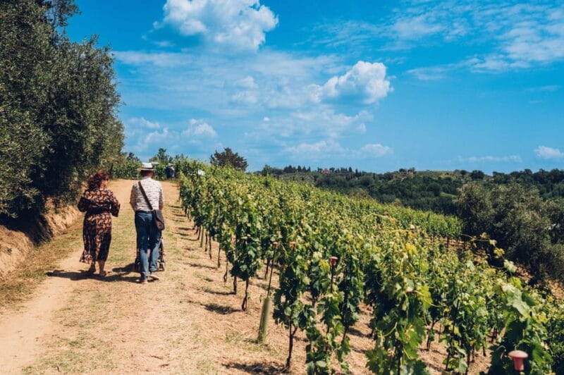 San Miniato: Wine Tour in a Family-Run Tuscan Winery - Exploring the Details of the Tuscan Wine and Olive Oil Experience