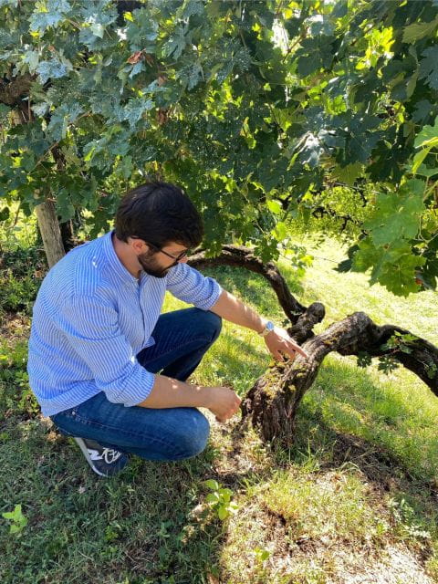 San Pietro di Feletto: Vineyard Tour with Cellar Visit - Who Will Appreciate This Tour?