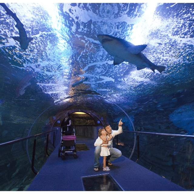 San Sebastian Aquarium Entry Ticket and City Walking Tour - Key Points