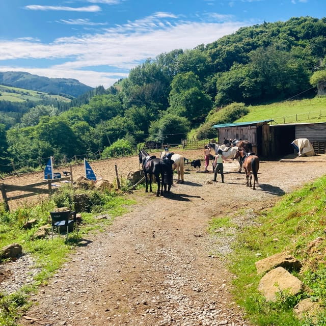 San Sebastian: Horseback Riding & Traditional Delights - The Experience in Detail: A Day in the Basque Hills