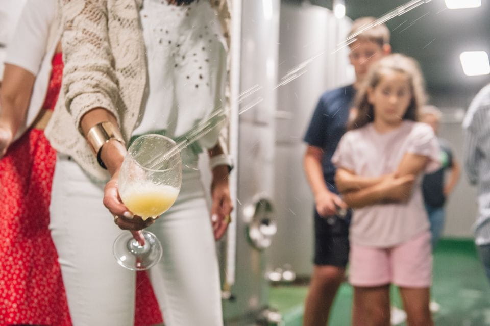 San Sebastián: Traditional Cider House Tour With Lunch - Customer Reviews and Feedback