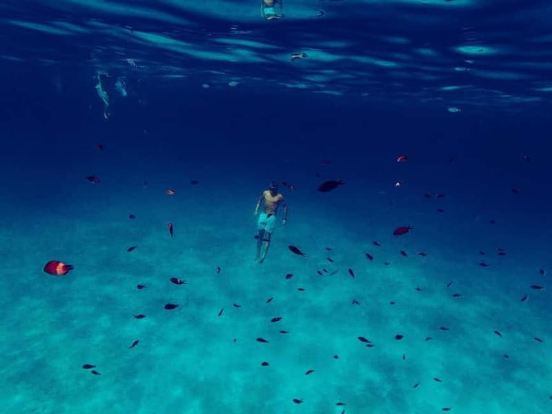 San Teodoro: Fishing trip and lunch with fresh catch and diving among the islands - Cala Girgolu: The Perfect Spot for Lunch and More Swimming