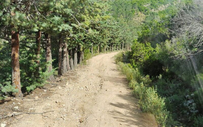 San Teodoro: Rio Pitrisconi Jeep and Hiking Tour - Key points / Takeaways