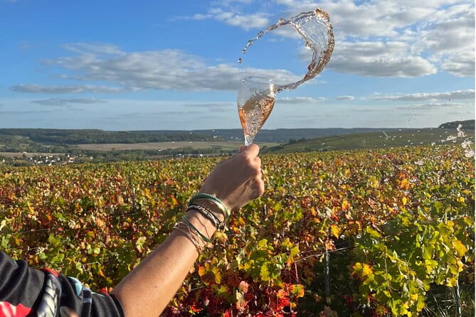 Sancerre Private Wine Tour with 10 Tastings and Lunch from Paris - Pricing & Value